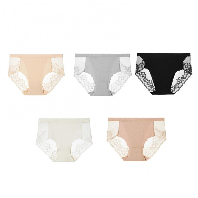 Sexy Lace Underwear for Women Mid Rise Seamless Floral Lace Sheer Briefs Stretchy No Show Hipster Panties