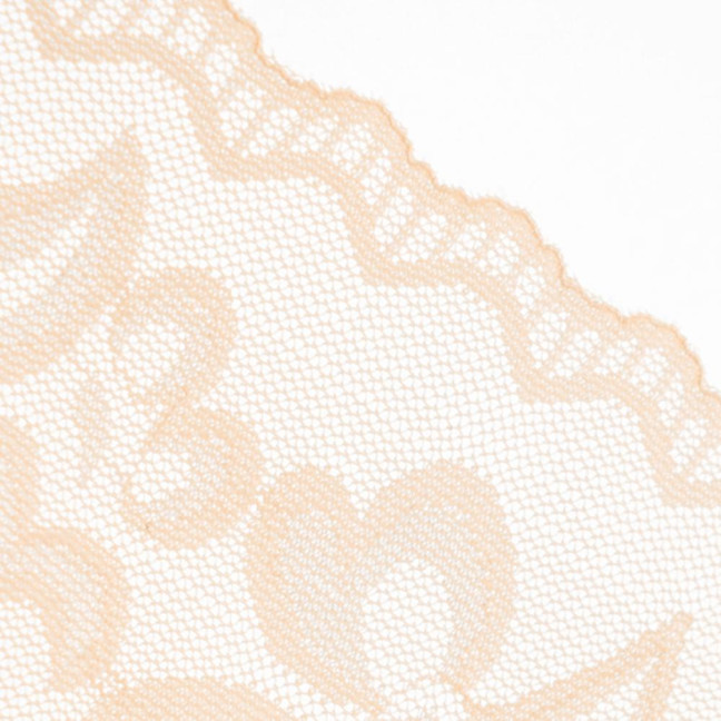 Sexy Lace Underwear for Women Mid Rise Seamless Floral Lace Sheer Briefs Stretchy No Show Hipster Panties