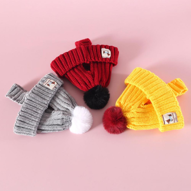 Knitted Dog Hat Cat Pompon Hat Winter Warm Hat with Ear Holes for Small Dogs And Cats Daily Wear Photography Prop