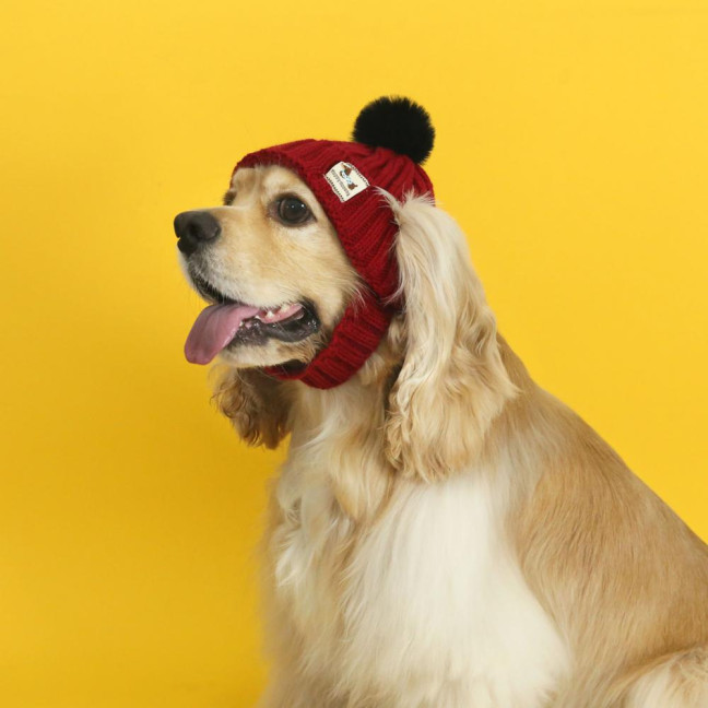 Knitted Dog Hat Cat Pompon Hat Winter Warm Hat with Ear Holes for Small Dogs And Cats Daily Wear Photography Prop
