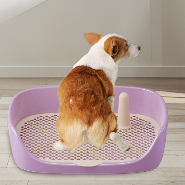 Pet Dog Toilet Portable Pet Lavatory with Protection Wall Potty Training Toilet with Grille Litter Box for Cat Puppy Small Medium Dogs