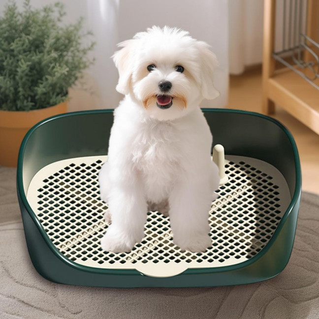 Pet Dog Toilet Portable Pet Lavatory with Protection Wall Potty Training Toilet with Grille Litter Box for Cat Puppy Small Medium Dogs