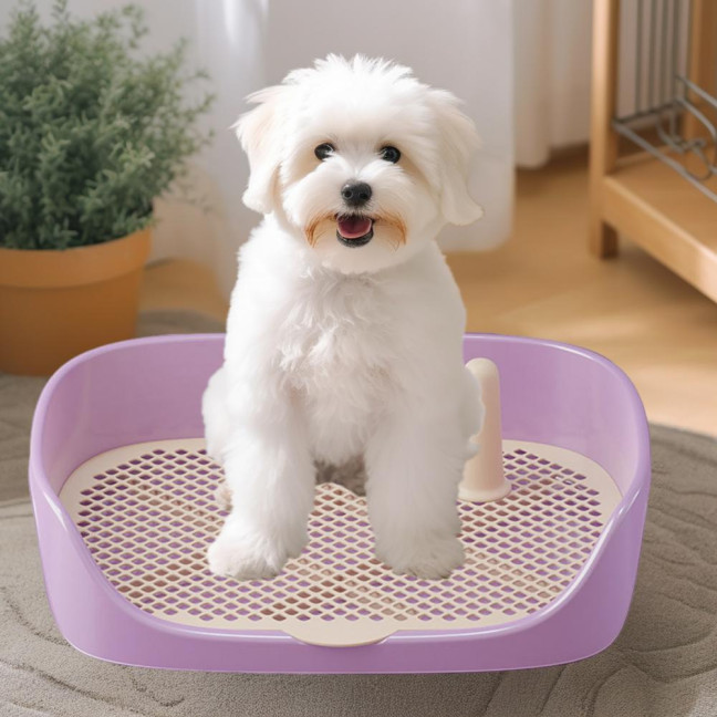 Pet Dog Toilet Portable Pet Lavatory with Protection Wall Potty Training Toilet with Grille Litter Box for Cat Puppy Small Medium Dogs