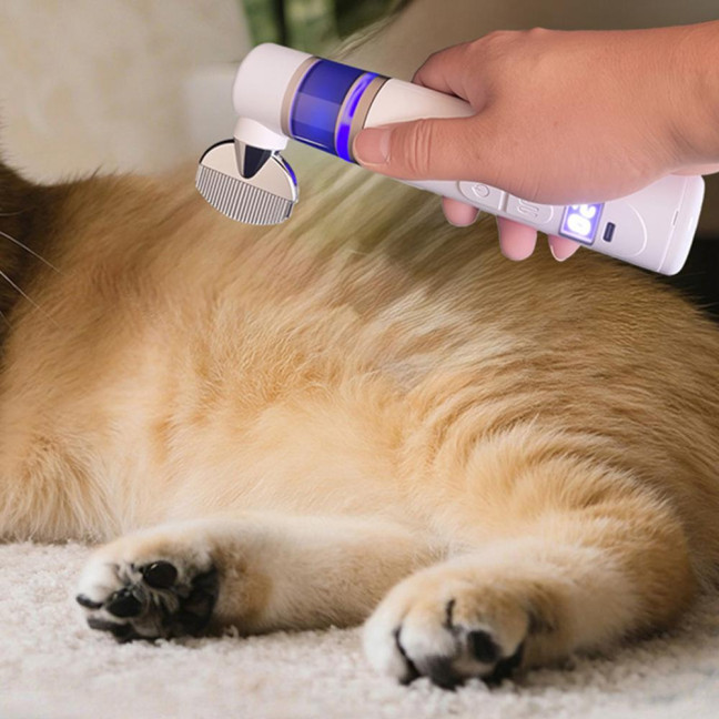 Electric Louse Comb Wireless Rechargeable 2-in-1 Vacuum Comb Portable Nit Comb Flea Remover Fine-Toothed Comb for Pets Adults Children All Hair Types