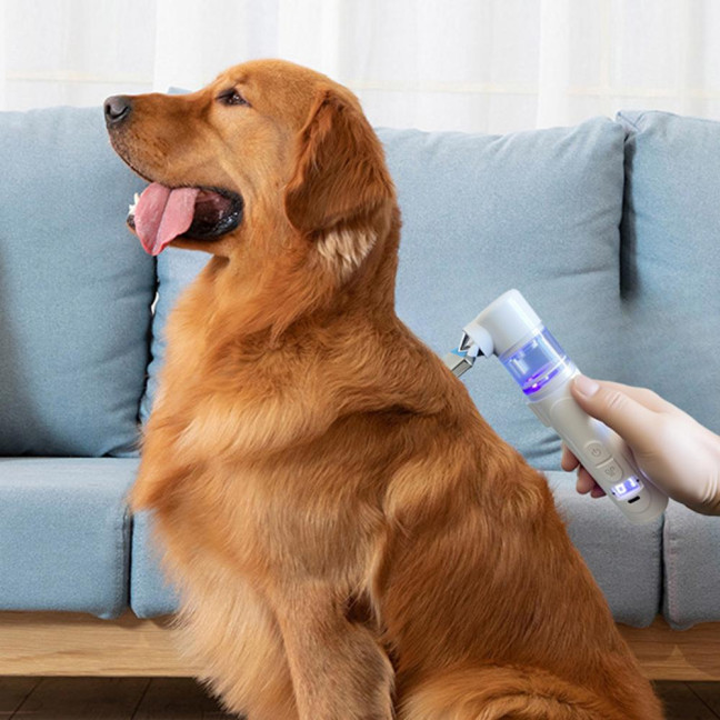 Electric Louse Comb Wireless Rechargeable 2-in-1 Vacuum Comb Portable Nit Comb Flea Remover Fine-Toothed Comb for Pets Adults Children All Hair Types