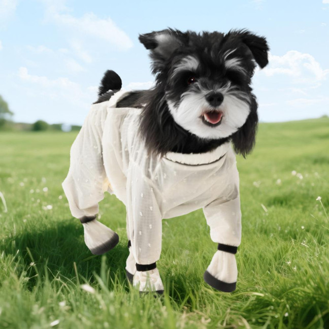 Pet Anti Dust Pants Waterproof Anti-Slip Dog Paw Protector Shoes Rain Boots with Adjustable Suspender Dirty-Proof Belly for Outdoor Hiking Walking Small Medium-Sized Dog