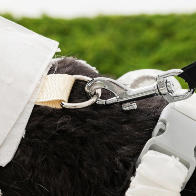 Pet Anti Dust Pants Waterproof Anti-Slip Dog Paw Protector Shoes Rain Boots with Adjustable Suspender Dirty-Proof Belly for Outdoor Hiking Walking Small Medium-Sized Dog