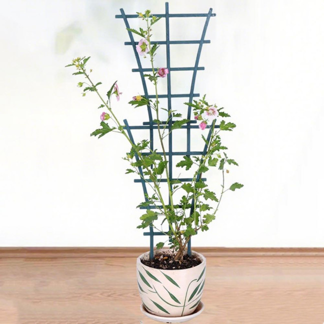 Plant Climbing Frame Stackable Support Trellis Planter Insert Houseplant Trellis for Potted Ivy Roses Cucumbers Home Indoor Outdoor Gardening