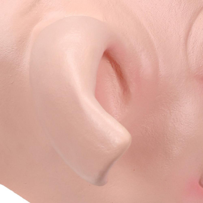 Halloween Horror Pig Head Mask Realistic Bad Face Mask Role-playing Scary Pig Head Costume Party Cosplay Props 