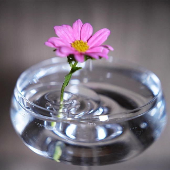 10/20/30Pcs Floating Floral Arrangement Holder Clear Floating Flower Display Stand Hydroponics Water Planting Flower Bowl Stem Holder Decoration 10/20/30Pcs Floating Floral Arrangement Holder Clear Floating Flower Display Stand Hydroponics Water Planting Flower Bowl Stem Holder Decoration