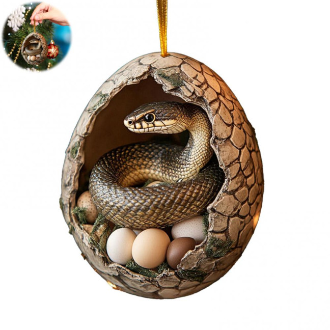 Christmas Ornament Acrylic Animal Egg Tree Pendant 2D Chicken Duck Turtle Eggshell Farm Decorations Holiday Gift for Family Friends Christmas Ornament Acrylic Animal Egg Tree Pendant 2D Chicken Duck Turtle Eggshell Farm Decorations Holiday Gift for Family Friends
