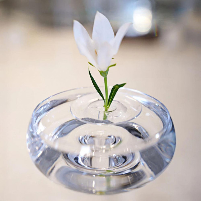 Floating Flower Stem Holder Clear Floating Floral Arrangement Holder Dynamic Rotation Flower Holder Bowl for Fish Tanks Table Decor Floating Flower Stem Holder Clear Floating Floral Arrangement Holder Dynamic Rotation Flower Holder Bowl for Fish Tanks Table Decor