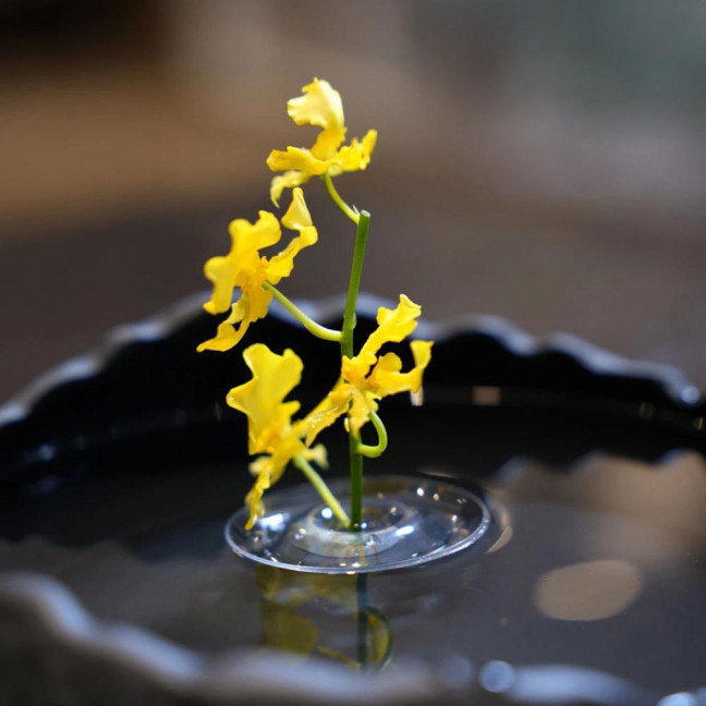 Floating Flower Stem Holder Clear Floating Floral Arrangement Holder Dynamic Rotation Flower Holder Bowl for Fish Tanks Table Decor Floating Flower Stem Holder Clear Floating Floral Arrangement Holder Dynamic Rotation Flower Holder Bowl for Fish Tanks Table Decor