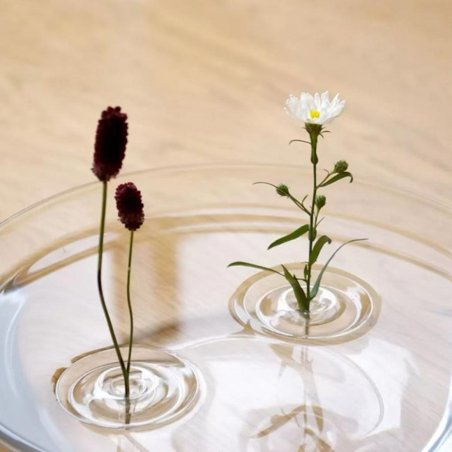 Floating Flower Stem Holder Clear Floating Floral Arrangement Holder Dynamic Rotation Flower Holder Bowl for Fish Tanks Table Decor Floating Flower Stem Holder Clear Floating Floral Arrangement Holder Dynamic Rotation Flower Holder Bowl for Fish Tanks Table Decor