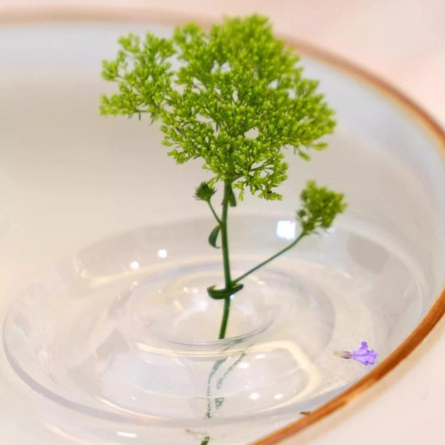 Floating Flower Stem Holder Clear Floating Floral Arrangement Holder Dynamic Rotation Flower Holder Bowl for Fish Tanks Table Decor Floating Flower Stem Holder Clear Floating Floral Arrangement Holder Dynamic Rotation Flower Holder Bowl for Fish Tanks Table Decor