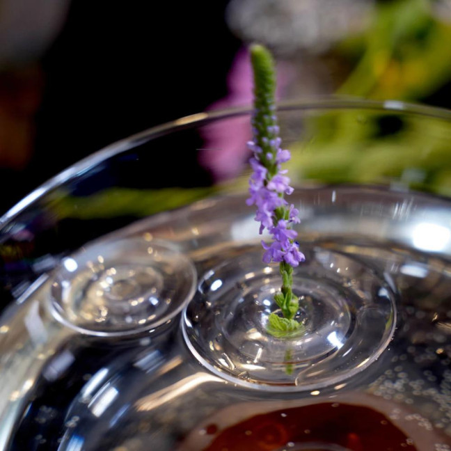 Floating Flower Stem Holder Clear Floating Floral Arrangement Holder Dynamic Rotation Flower Holder Bowl for Fish Tanks Table Decor Floating Flower Stem Holder Clear Floating Floral Arrangement Holder Dynamic Rotation Flower Holder Bowl for Fish Tanks Table Decor