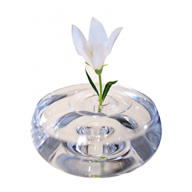 Floating Flower Stem Holder Clear Floating Floral Arrangement Holder Dynamic Rotation Flower Holder Bowl for Fish Tanks Table Decor Floating Flower Stem Holder Clear Floating Floral Arrangement Holder Dynamic Rotation Flower Holder Bowl for Fish Tanks Table Decor