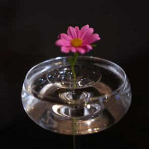Floating Flower Stem Holder Clear Floating Floral Arrangement Holder Dynamic Rotation Flower Holder Bowl for Fish Tanks Table Decor 
