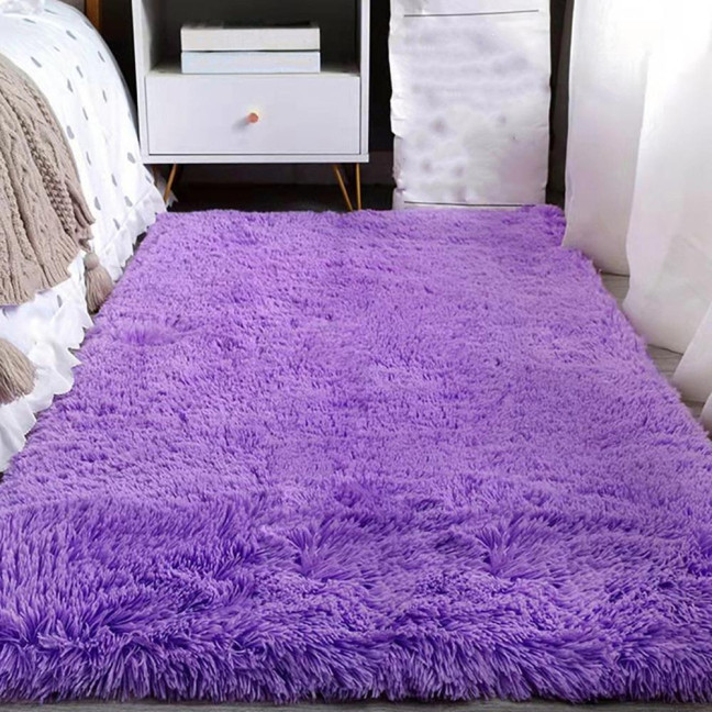 Fluffy Floor Mat Plush Area Rug with Non-slip Backing Shaggy Fuzzy Bedroom Carpet Bedside Rug for Nursery Playroom Living Room Dorm