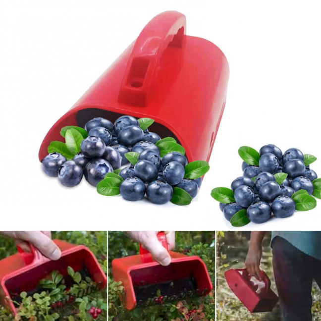 Blueberry Picker Berry Picker with Fruit Collection Bin Gardening Harvest Tool Blueberry Rake Scoop for Efficient Harvesting of Raspberries Blackberries 
