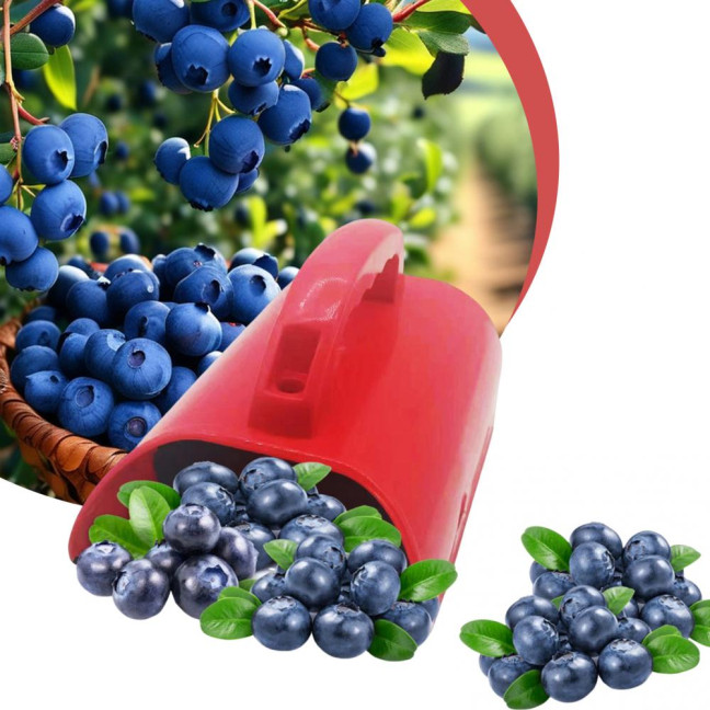 Blueberry Picker Berry Picker with Fruit Collection Bin Gardening Harvest Tool Blueberry Rake Scoop for Efficient Harvesting of Raspberries Blackberries 