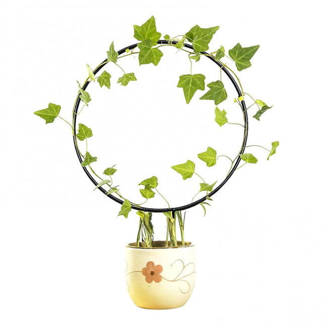 Plant Circle Trellis Climbing Plants Coated Wire Trellis Planter Insert Heart Shape Trellis Small Plant Support Stakes for Flowers Houseplants Garden Vines