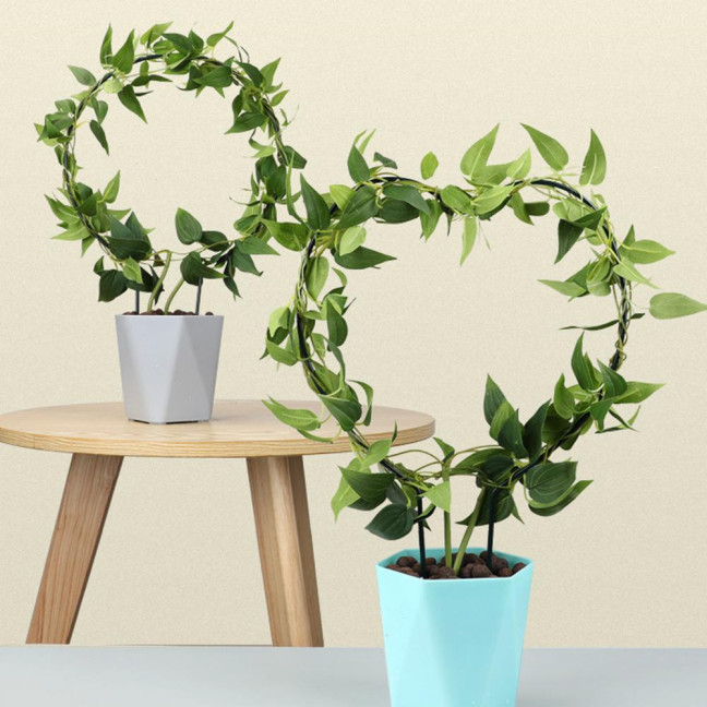 Plant Circle Trellis Climbing Plants Coated Wire Trellis Planter Insert Heart Shape Trellis Small Plant Support Stakes for Flowers Houseplants Garden Vines