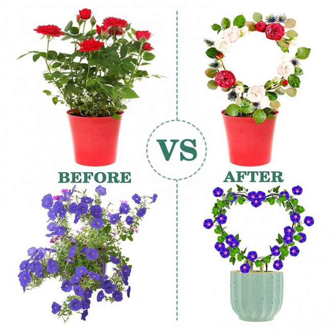 Plant Circle Trellis Climbing Plants Coated Wire Trellis Planter Insert Heart Shape Trellis Small Plant Support Stakes for Flowers Houseplants Garden Vines