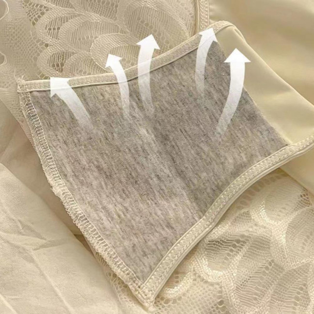 Women's Sexy Lace Hipster Underwear Soft Floral Lace Low Rise Panties Seamless Sheer Mesh Ladies Briefs