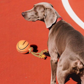 Electric Dog Toy Ball Interactive Spinning Ball with 3 Mode Settings Dogs Self-Play Basketball Football Chasing Toy for Indoor Outdoor Entertainment