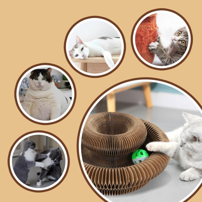 Cats Accordion Toy Foldable Cat Scratch Board with Bell Ball Portable Changeable Cat Scratcher Toy for Indoor Cats Anxiety Relief Exercise 