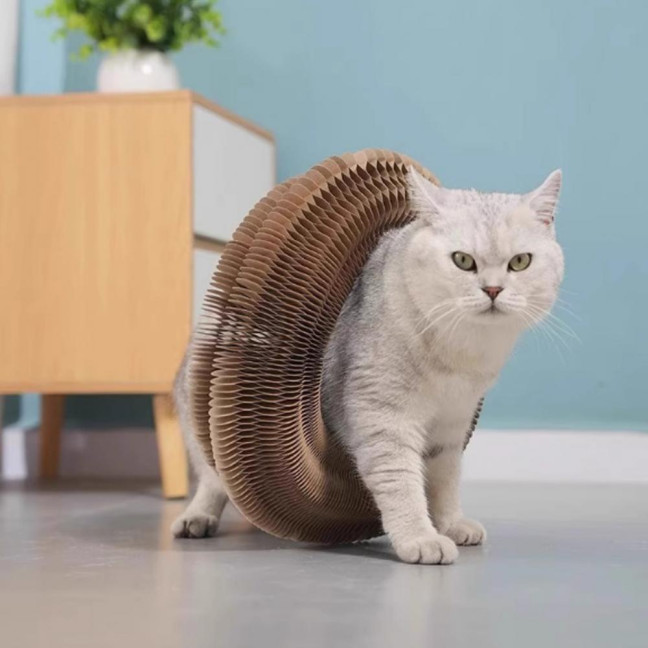 Cat Scratcher Accordion Toy Changeable Interactive Cat Scratching Board with Bell Ball Foldable Corrugated Paper Scratch Toy for Indoor Cats Anxiety Relief Entertainment Cat Scratcher Accordion Toy Changeable Interactive Cat Scratching Board with Bell Ball Foldable Corrugated Paper Scratch Toy for Indoor Cats Anxiety Relief Entertainment