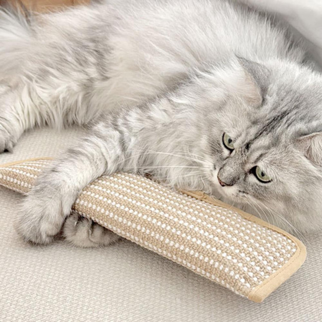 Cat Scratch Mat Cat Toy Sisal Scratcher Pillow Stuffed with Catnip Safe Nail File for Indoor Cats Kitten Training Entertainment Health