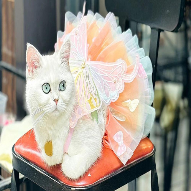 Dog Dress Butterflies Princess Style Colorful Wings Fluffy Tutu Dress Vibrant Color Lace Fabric Pet Dog Dress