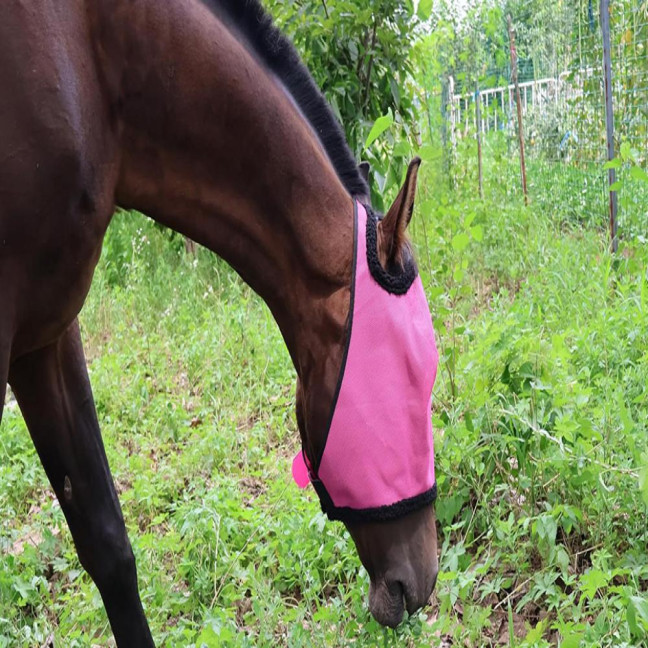 Horse Fly Face Guard Half Face UV Protection Cover from Summer Insect Pest Adjustable Breathable Mesh Coverage for Horse
