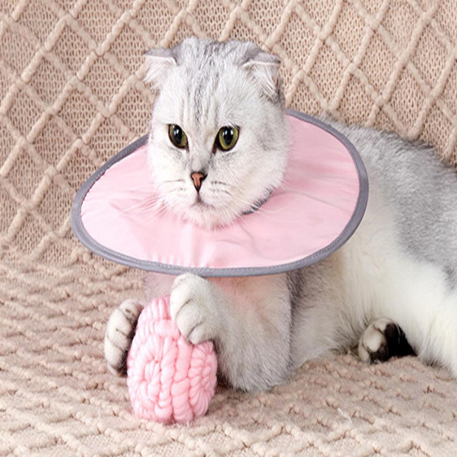 Soft Cat Cone Collar Adjustable Recovery Cone for Small Large Cats After Surgery to Stop Licking And Scratch Waterproof Protective E Collar for Wound Care Soft Cat Cone Collar Adjustable Recovery Cone for Small Large Cats After Surgery to Stop Licking And Scratch Waterproof Protective E Collar for Wound Care