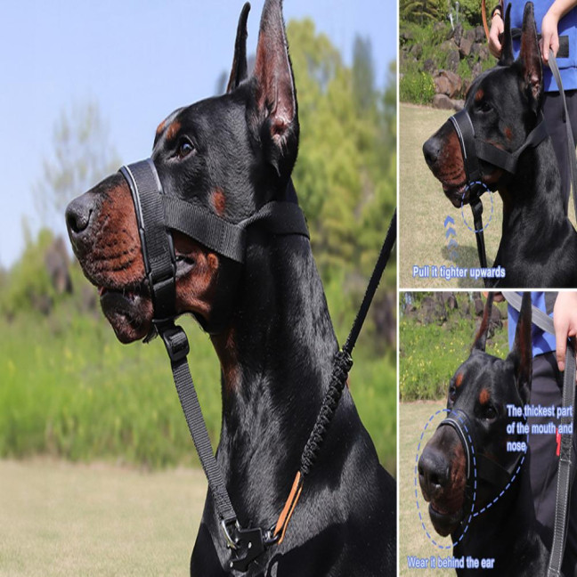 No-Pull Dog Head Collar Adjustable Dog Head Halter with Padded Nose Band Reflective Training Muzzle Leash for Medium Large Dogs