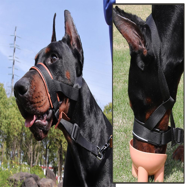 No-Pull Dog Head Collar Adjustable Dog Head Halter with Padded Nose Band Reflective Training Muzzle Leash for Medium Large Dogs