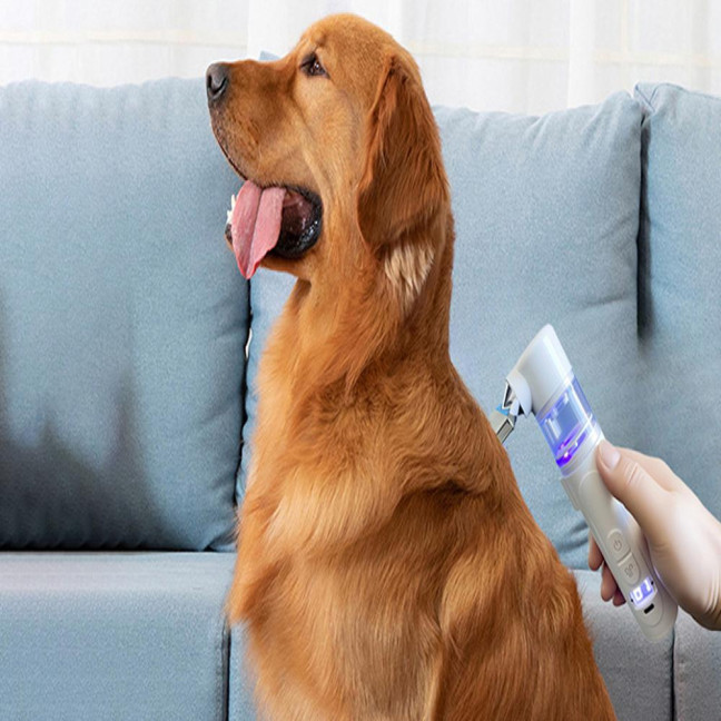 Electric Louse Comb Wireless Rechargeable 2-in-1 Vacuum Comb Portable Nit Comb Flea Remover Fine-Toothed Comb for Pets Adults Children All Hair Types