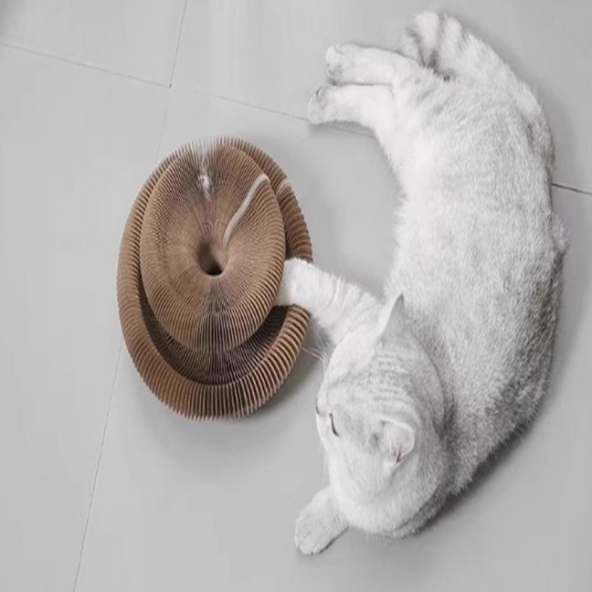 Cat Scratcher Accordion Toy Changeable Interactive Cat Scratching Board with Bell Ball Foldable Corrugated Paper Scratch Toy for Indoor Cats Anxiety Relief Entertainment Cat Scratcher Accordion Toy Changeable Interactive Cat Scratching Board with Bell Ball Foldable Corrugated Paper Scratch Toy for Indoor Cats Anxiety Relief Entertainment