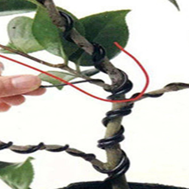 1 Roll 5m Bonsai Wire Bendable Reusable Rustproof Flexible Convenient Storage Plant Shape 6 Sizes Bonsai Branch Training Black Wire for Balcony
