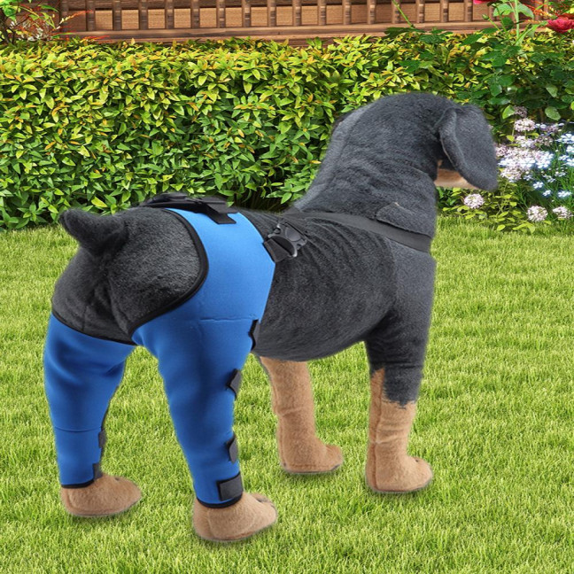 Dog Knee Brace for Torn ACL Hind Leg Adjustable Dual Back Leg Support for Luxating Patella Ligament Injuries Osteoarthritis Dog Knee Brace for Torn ACL Hind Leg Adjustable Dual Back Leg Support for Luxating Patella Ligament Injuries Osteoarthritis