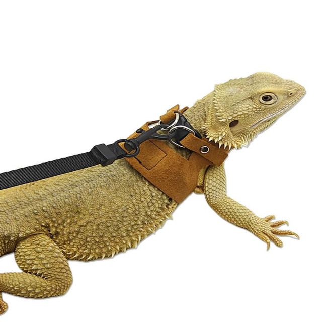 Bearded Dragon Harness And Leash Set Faux Leather Reptile Lizard Harness with Retractable Leash Small Animal Traction Rope Walking Vest Accessories for Amphibians Bearded Dragon Harness And Leash Set Faux Leather Reptile Lizard Harness with Retractable Leash Small Animal Traction Rope Walking Vest Accessories for Amphibians