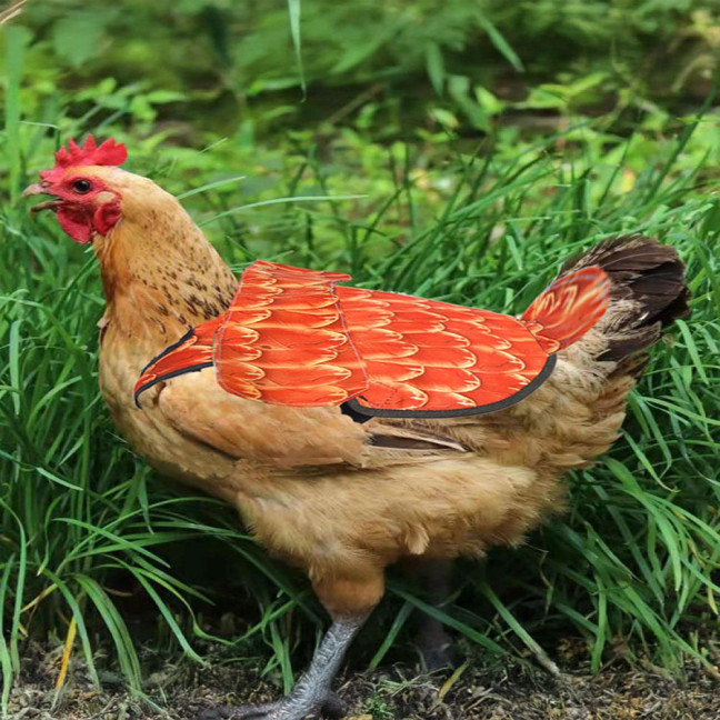 Chicken Saddle for Hens Printed Chicken Aprons with Adjustable Strap Chicken Vest Jacket Clothes for Poultry Back Feather Protection