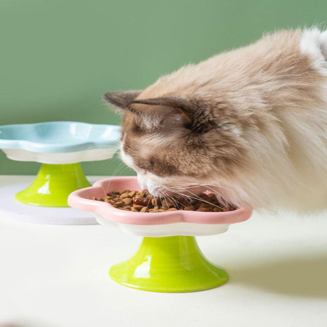 Ceramic Raised Cat Bowls Flower Design Elevated Cat Food Water Bowl Small Cat Feeding Dish for Cats Small Dogs