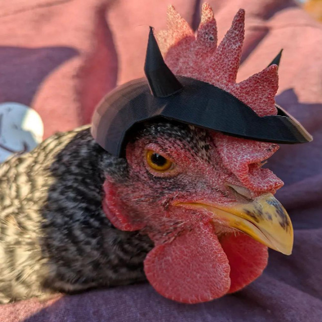 Chicken Helmet Hens Safety Hat with Adjustable Elastic Strap Mini Parrot Helmet Costume Accessories for Rooster Duck Parakeet Poultry 