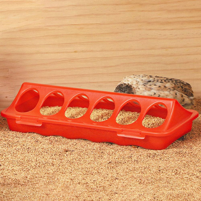 Plastic Flip Top Chicken Feeder Small Poultry Feeding Tray with Holes Duckling Quail Drinker No Waste Feeder Trough for Birds Pigeon Chicken