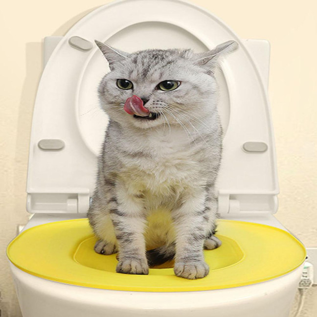 Cat Toilet Trainer Kit Universal Urinal Seat Potty Cat Toilet Training System Reusable Cat Toilet Training Seat Tool for Pet Cleaning Cat Toilet Trainer Kit Universal Urinal Seat Potty Cat Toilet Training System Reusable Cat Toilet Training Seat Tool for Pet Cleaning