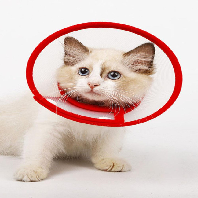 Cat Cone Collar Adjustable Recovery Pet Cone E-Collar Wound Healing Anti-licking Protective Collar Neck Cover for Cats Kittens Rabbits