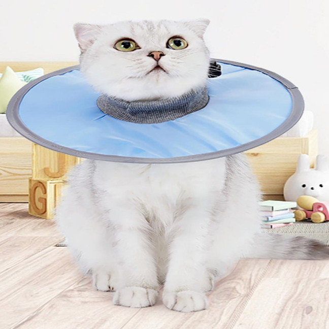 Soft Cat Cone Collar Adjustable Recovery Cone for Small Large Cats After Surgery to Stop Licking And Scratch Waterproof Protective E Collar for Wound Care Soft Cat Cone Collar Adjustable Recovery Cone for Small Large Cats After Surgery to Stop Licking And Scratch Waterproof Protective E Collar for Wound Care